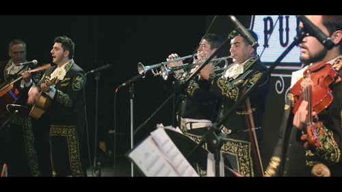 Mariachi Puro Jalisco/serenatas/dia De La Madre/del Amigo
