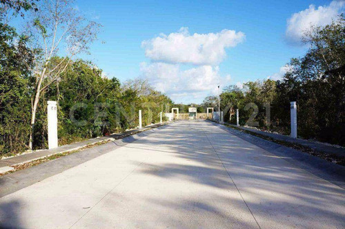Imagen 8 de 11 de Terreno Residencial, Entrega Inmediata, El Encuentro Playa Del Carmen P2825