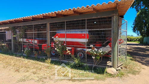 Predio 92 Ha En Morza Con Parrones En Producción