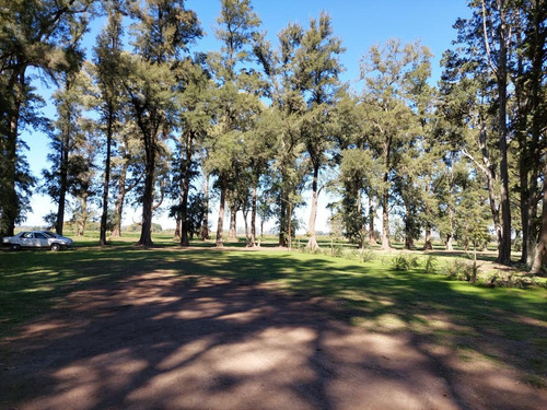 Imagen 5 de 15 de Venta-terreno - Los Tres Pinos-gral Rodriguez-oportunidad!!! Ideal Inversion