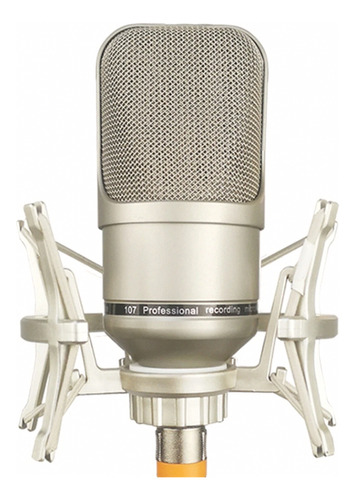 Microfone Condensador Tlm 107 Diafragma 34mm Profissional 