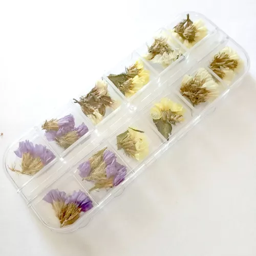 Dreamtop 2 cajas de flores secas para resina Flores Argentina