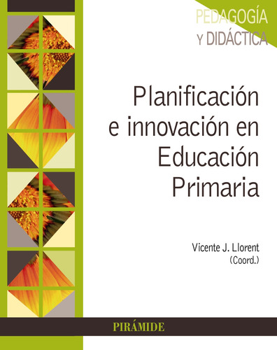 Libro Planificación E Innovación En Educación Primaria De Ll
