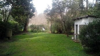 Imagen 3 de 14 de Casa Quinta Venta Se Escucha Oferta Real Oportunidad