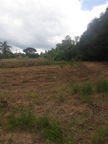 Imagem 14 de 14 de Sítio 12 Alqueires, Rico Em Água Com Nascentes E Lagos, Planta 6 Alqueires, Dupla Aptidão, Casas Sede E Caseiro, Mangueirão, Barracão, Pomar - St00180 - 70758256