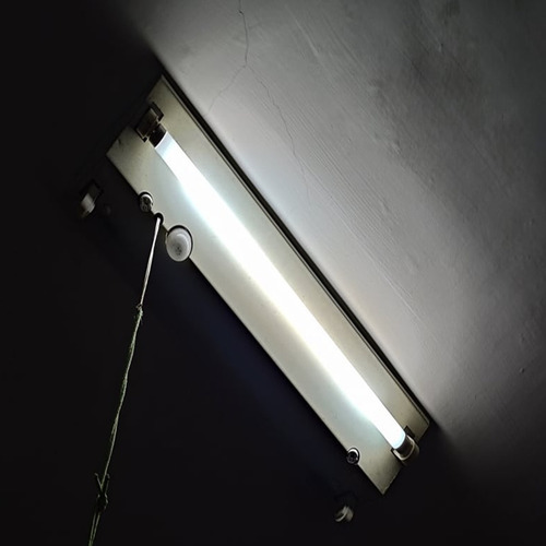 Lâmpada Led Tuboled 45cm Bivolt Tubular T8 Branco Frio