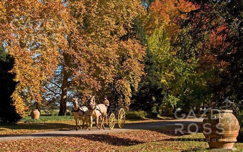 Imagen 1 de 5 de Lotes A La Venta En Estancia Villa María Barrio Arroyito, Ezeiza