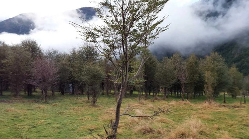 Terreno Plano Con Bosque Nativo - Aysén (172857)