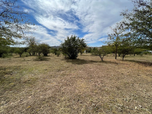 Imagen 15 de 22 de Terrenos De 1000m2 En Potrero De Garay