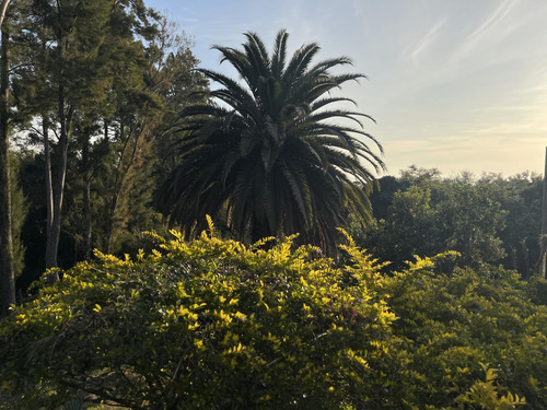 Chacra En Colonia Sobre Rio De La Plata