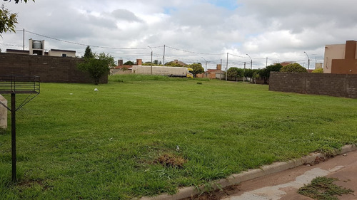Imagen 4 de 6 de 4 Terrenos En Jesús María