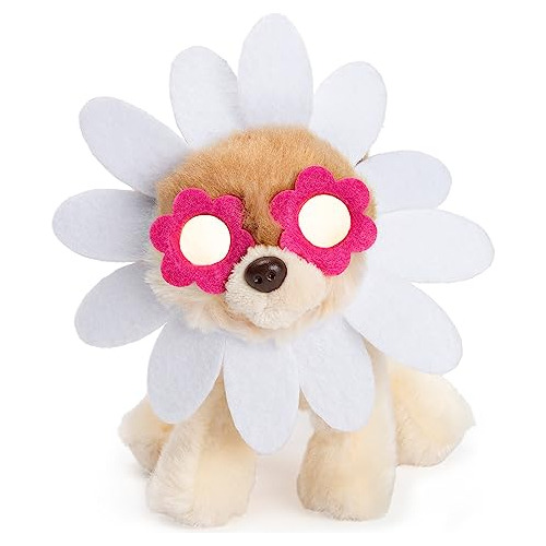 Gund The World's Cutest Dog Boo Itty Bitty Boo Daisy Flower 