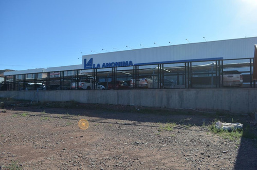 Imagen 6 de 6 de Terreno En Frente Ruta, Zona Centro Añelo