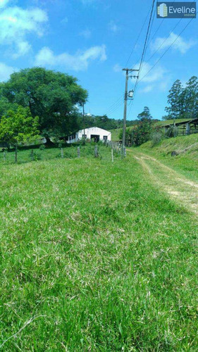 Imagem 5 de 14 de Fazenda Com 2 Dorms, Cézar De Souza, Mogi Das Cruzes - R$ 2 Mi, Cod: 722 - V722