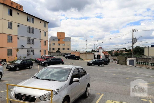 Imagem 13 de 13 de Apartamento À Venda No Linda Vista - Código 474534 - 474534