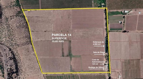 Agrícola En Venta En Ovalle