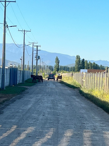 Parcela De Agrado 5000mts. 5 Minutos Requínoa