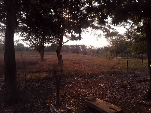 Imagen 7 de 7 de Finca En Lagunita Cod. Indif-039