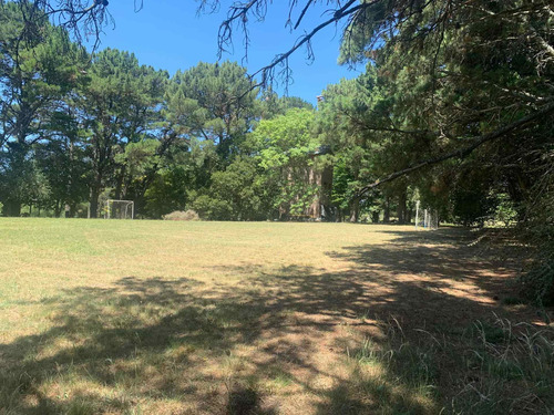 Imagen 15 de 16 de Hotel De Cabañas Con Casa Principal - La Mejor Zona - Tandil