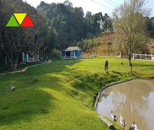 Imagem 5 de 30 de Chácara Em Cai De Baixo - Ch00088 - 34982990