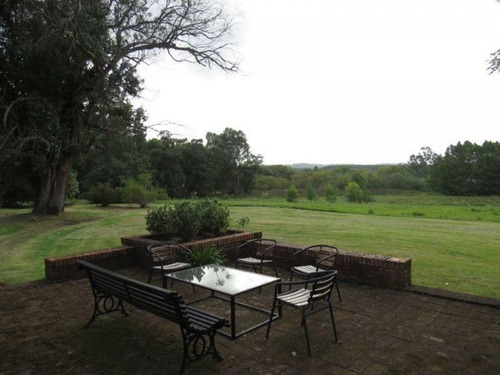 Chacra En Venta Camino Lussich 3 Dormitorios- Ref: 217462