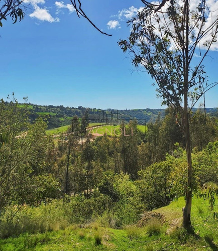 Sitio En Venta En Condomino Almar, Comuna De Navidad.