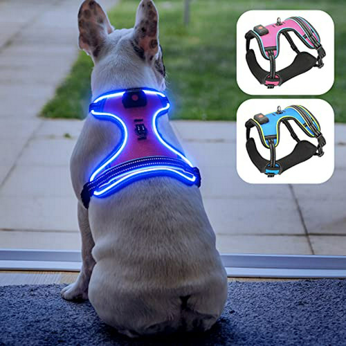 Arnés De Seguridad Para Perros Led  Chaleco Iluminado Para 