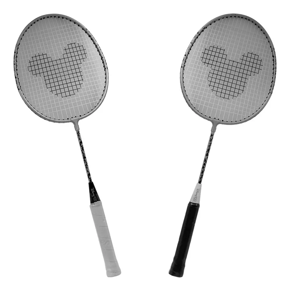 Primera imagen para búsqueda de raqueta de badminton