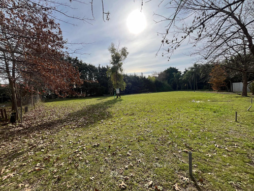 Lote En Venta