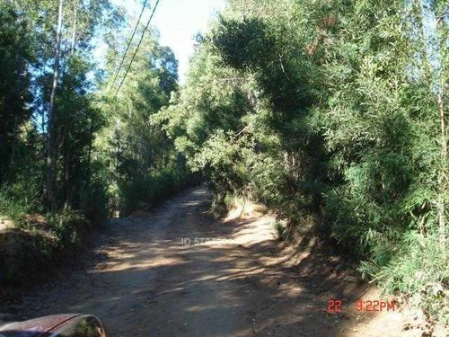 Imagen 2 de 13 de Camino Nonguen S / N , Sector Reserva De Nonguen Concepción