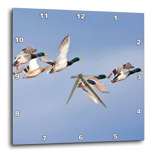 3drose Dpp__1 Patos Mallard En Whitefish Montana - Us27 Cha1