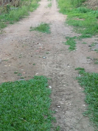 Terreno Em Vila Nova - Li50879502