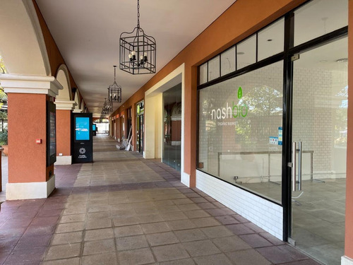 Imagen 5 de 8 de Local - Pueblo Caamaño