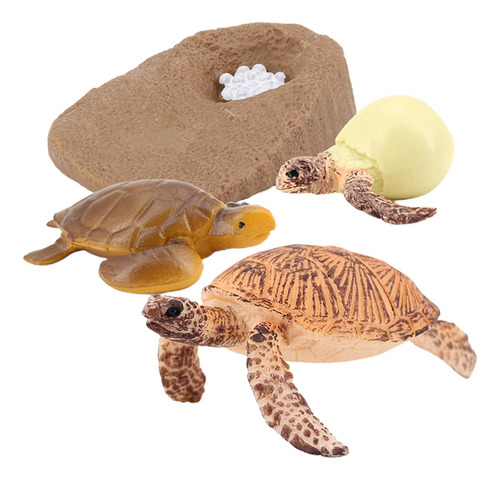 Tortuga De Plástico Ciclo De Animal Tortuga Marina 2423