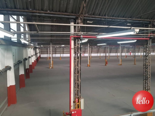 Imagem 13 de 14 de Comercial/industrial - Ref: 203230