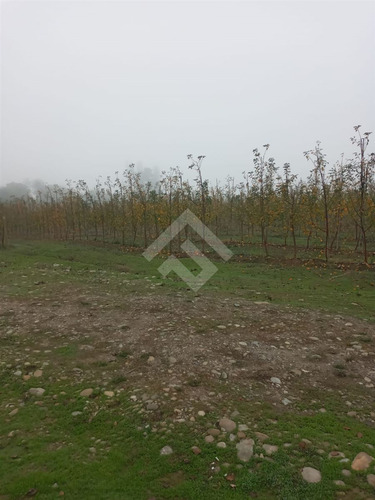 Agrícola En Venta En Linares