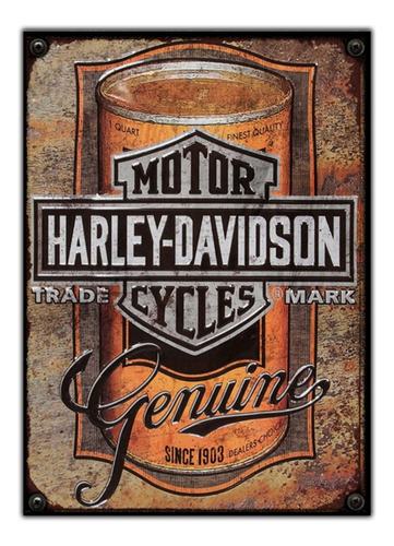 #165 - Cuadro Vintage 21 X 29 Cm / No Chapa Harley Moto 