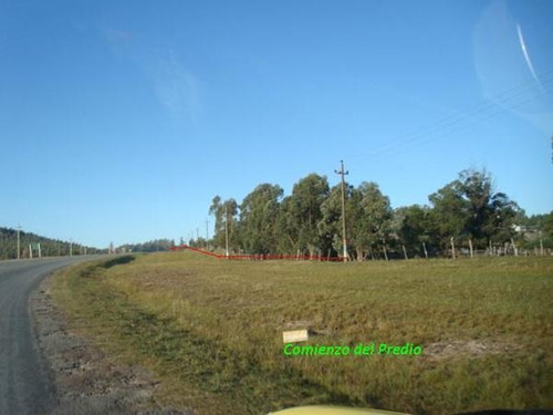 Campo En Venta En Lavalleja, 4 Hectáreas.