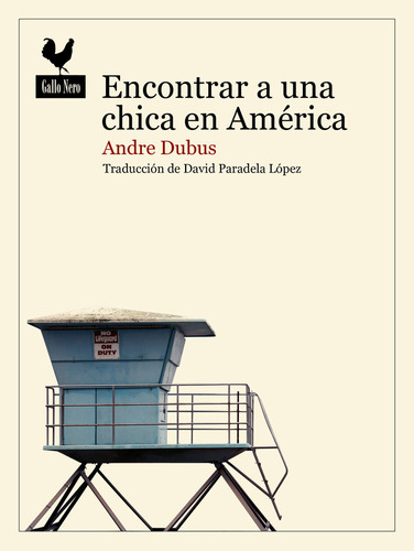 Libro Encontrar A Una Chica En America - Dubus, Andre