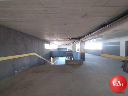 Imagem 19 de 22 de Apartamento - Ref: 230700