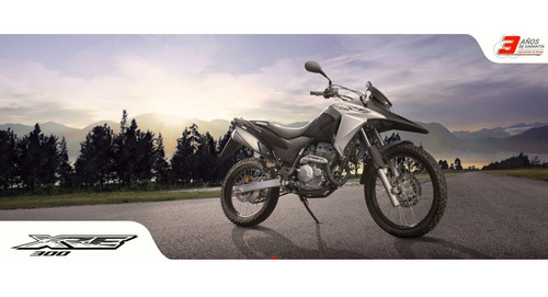 Imagen 13 de 22 de Honda Xre300