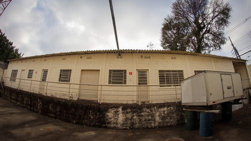 Imagem 26 de 28 de Galpao - Gl00001 - 69828215