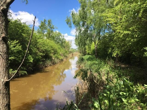 Imagen 19 de 30 de Lote Al Rio Cabaña En Delta Tigre