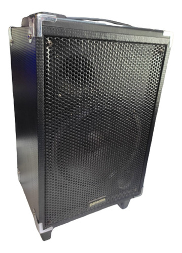 Parlante Portatil Panacom Sp-3090 Stage Sound 8'' Lamdisc