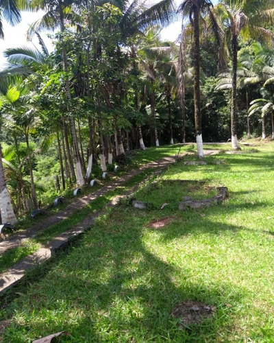 Imagem 15 de 30 de Sítio - 0194 - 32820423