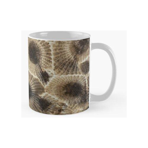 Taza Petoskey Stone Calidad Premium