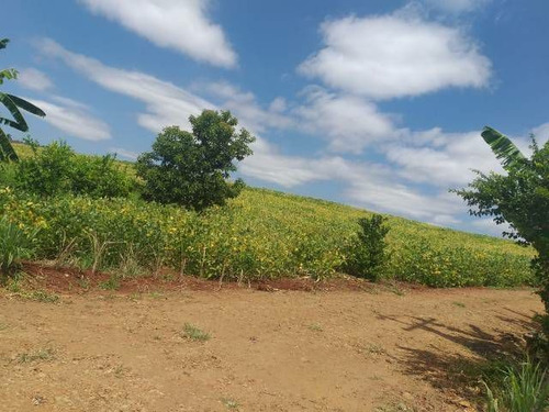 Imagem 2 de 10 de Chácara Rod-marialva Aquidabã Pr