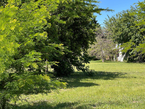 Lotes 150 Entre 41 Y 42 - Liquidámbar San Carlos