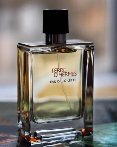 Perfume Hermes Terre D'hermes Edt 100ml | Parcelamento sem juros