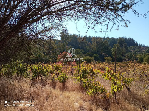 Se Vende Parcela De Agrado En Santa Rosa De Lavaderos Maule